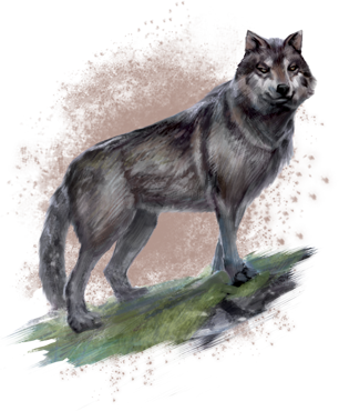 external image wolf.png?v3